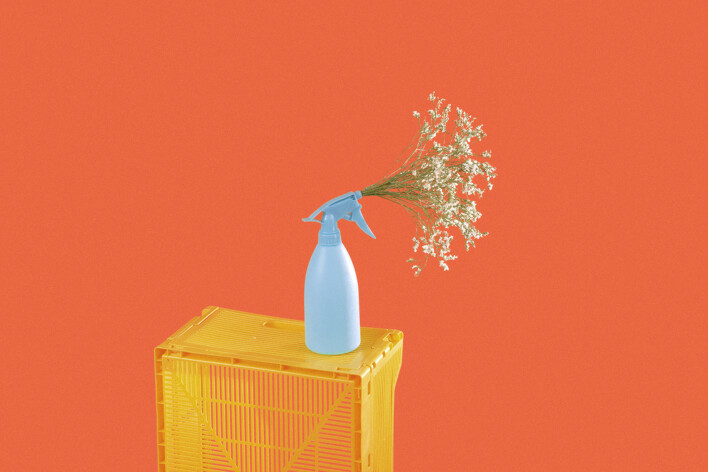 Cleaning picture with flowers