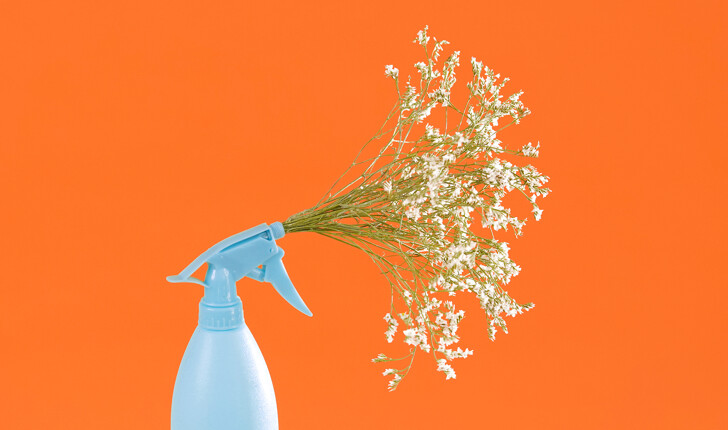 Wecasa cleaning services