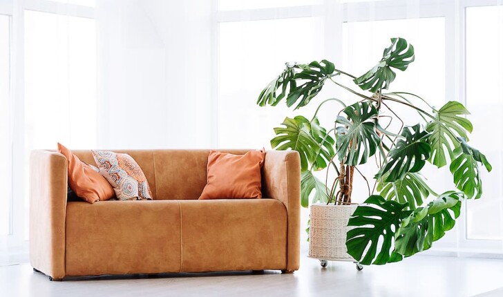 Brown suede sofa