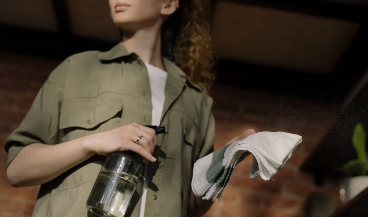 woman in green button up shirt holding a cleaning spray bottle and a cloth 