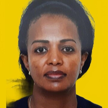 Reinigungskraft für deinen Haushalt, Wien - Shewit