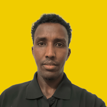 Domestic cleaner, Tollington - Hassan