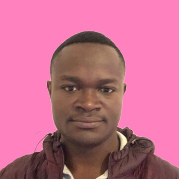 Domestic cleaner, Fairfield London - Alfred