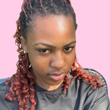 Domestic cleaner, Bellingham London  - Mistura