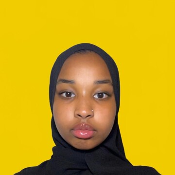 Domestic cleaner, Ferndale - Habiba