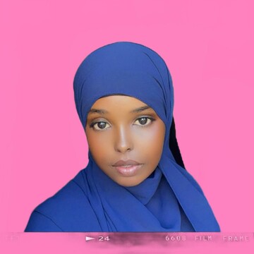 Domestic cleaner, Ferndale - Khadar