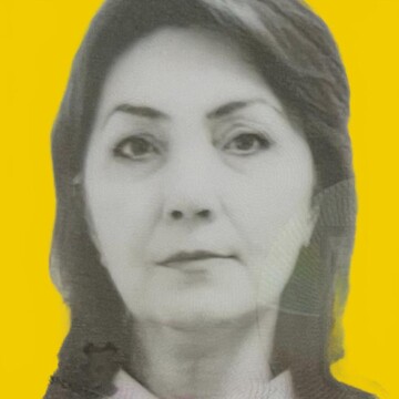 Domestic cleaner, Rayners Lane - Remus (Anisoara)