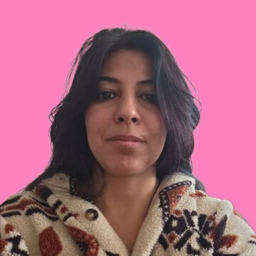 Domestic cleaner, Castle Leicester - Hamsa