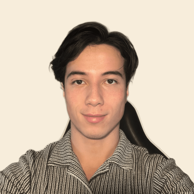 Karl Se - Domestic cleaner Newington London - House cleaning services