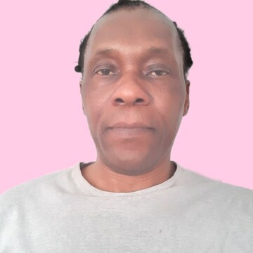 Domestic cleaner, Charville - Stone
