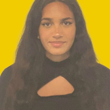 Domestic cleaner, Lewsey - Isabel